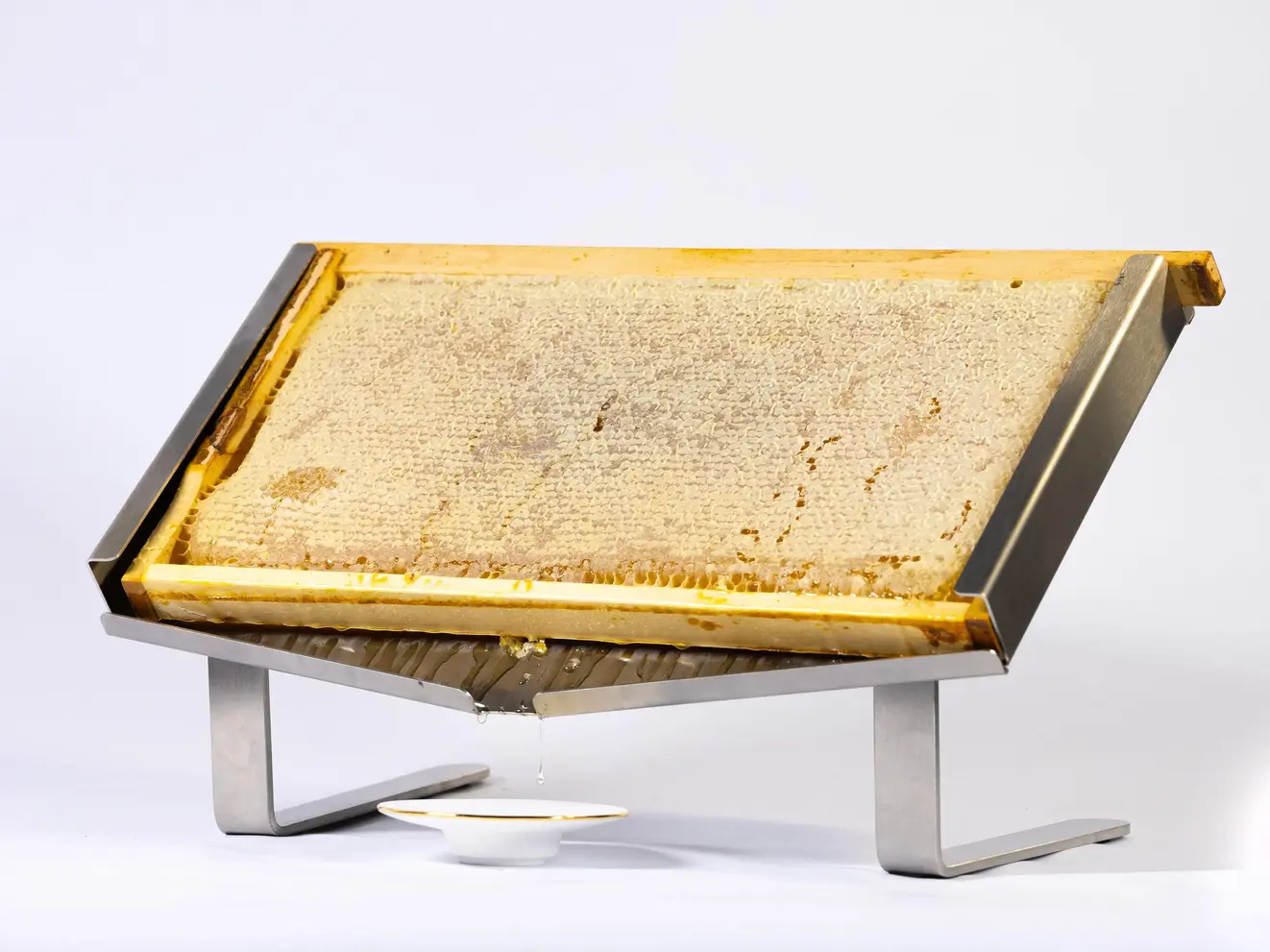 VitaLife Honingraat Presentatie